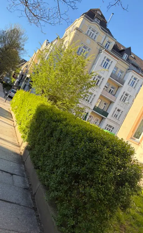 Vorher: wild gewachsene Hecke an einem Gehweg