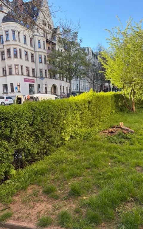 Vorher: zugewachsene Hecke und ungepflegte Rasenfläche
