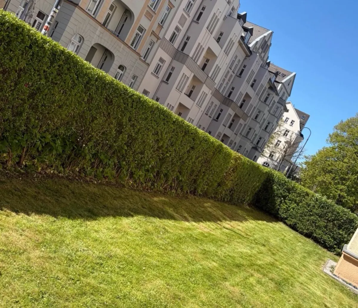 Grünanlage nach dem Heckenschnitt – sauber geschnittene Hecke und gemähter Rasen